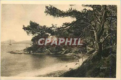 Cartes postales Les Iles d'Hyeres (Var) Cote d'Azur La Douce France Porquerolles La Plage d'Argent