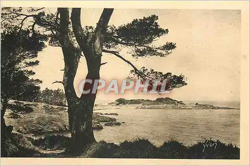 Cartes postales Les Iles d'Hyeres (Var) Cote d'Azur La Douce France Porquerolles Bord de Mer
