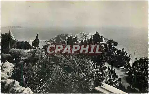 Cartes postales moderne Jardin Exotique de Monaco Le Plateau Superieur