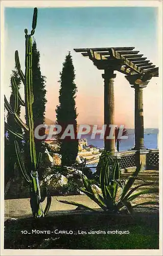 Cartes postales moderne Monte Carlo Les Jardins Exotiques