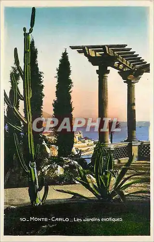 Moderne Karte Monte Carlo Les Jardins Exotiques