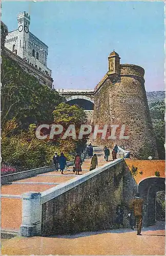 Cartes postales moderne Monaco Montee du Palais La Rampe Major