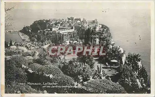 Cartes postales moderne Monaco Le Rocher et les Jardins Exotiques