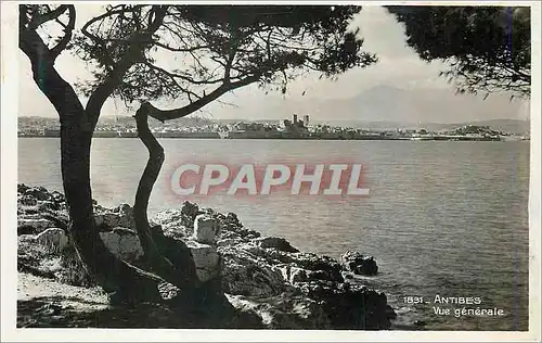 Cartes postales moderne Antibes Vue Generale