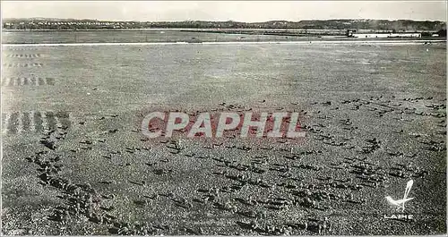 Moderne Karte Agriculture L'Elevage des Moutons dans la Crau (Miramas Bouches du Rhone)