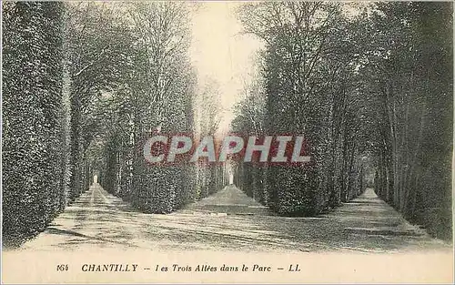 Ansichtskarte AK Chantilly Les Trois Allees dans le Parc