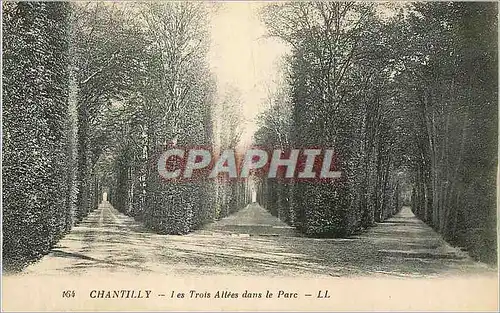 Cartes postales Chantilly Les Trois Allees dans le Parc