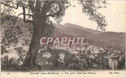 Ansichtskarte AK Grasse (Alpes Maritimes) Vue prise entre les Oliviers