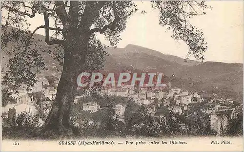 Cartes postales Grasse (Alpes Maritimes) Vue prise entre les Oliviers