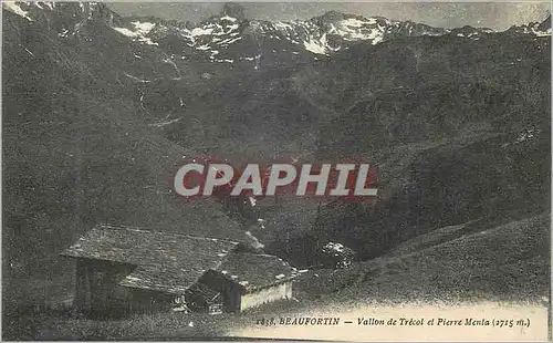 Cartes postales Beaufortin Vallon de Trecol et Pierre Menta (2715 m)