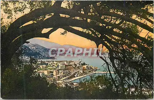 Cartes postales moderne Monte Carlo Vue Generale
