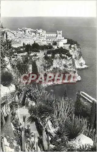 Cartes postales moderne Principaute de Monaco Le Rocher vu du Jardin Exotique