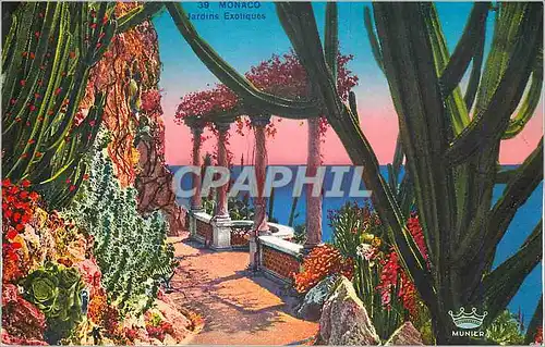 Cartes postales Monaco Jardins Exotiques