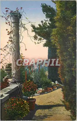 Cartes postales moderne Monaco Les Jardins Exotiques