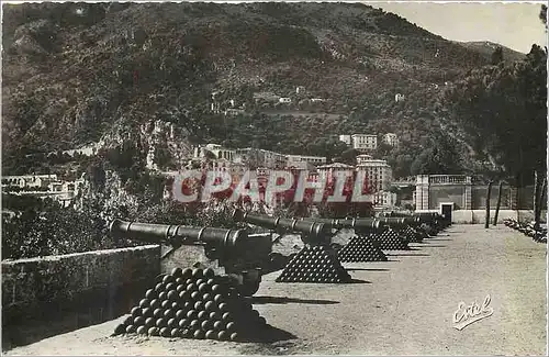 Cartes postales moderne Monaco Place du Palais Les Vieux Canons de Bronze