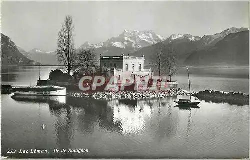 Cartes postales moderne Le Lac Leman Ile de Salagnon