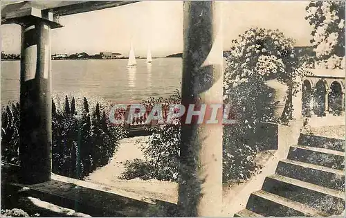 Cartes postales moderne Cannes La Cote D'Azur Le Palm Beach