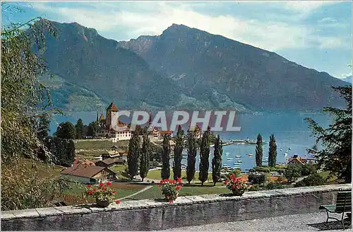 Cartes postales moderne Spiez am Thunersee