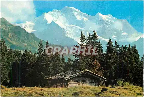 Cartes postales moderne Bei Wengen Berner Oberland Die Jungfrau (4158 m)