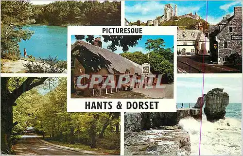 Moderne Karte Picturesque Hants and Dorset