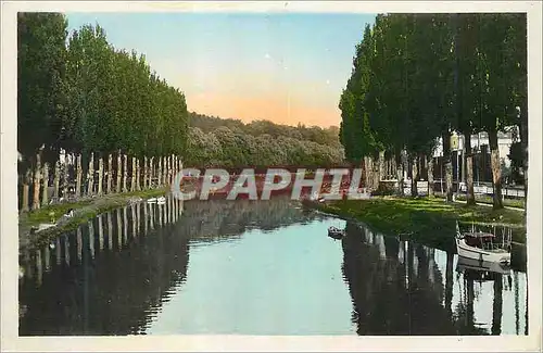 Cartes postales moderne Melun (S et M) La Seine Vue prise du Pont de Pierre