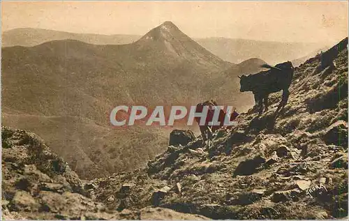 Cartes postales Cantal Le Puy Griou (1694 m) vu des Flancs du Puy Mary Vaches
