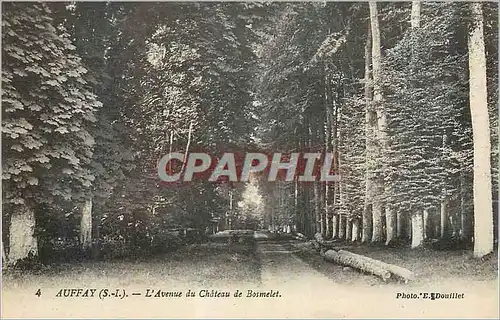 Cartes postales Auffay (S I) L'Avenue du Chateau de Bosmelet
