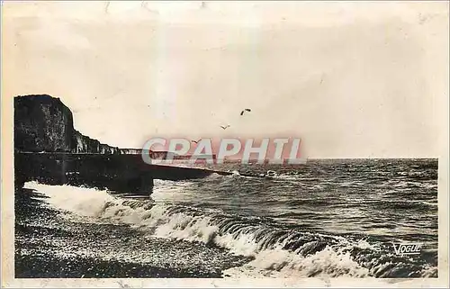 Cartes postales moderne Veules Les Roses sur la Plage a Maree Haute