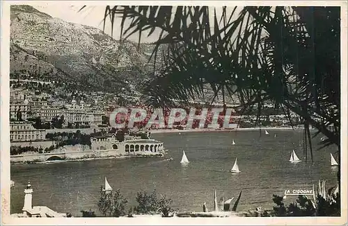 Cartes postales moderne Monte Carlo Regates