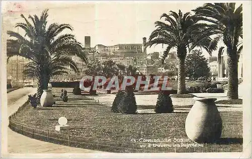 Cartes postales moderne Cannes Le Suquet vu a Travers les Palmiers
