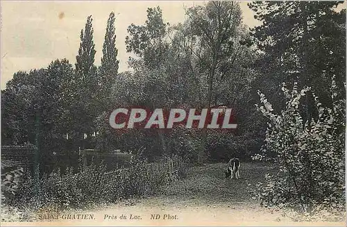 Cartes postales Saint Gratien Pres du Lac Vache