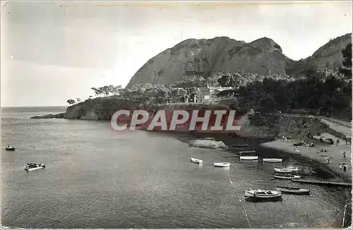 Cartes postales moderne Le Ciotat (B du Rh) La Plage du Mugel