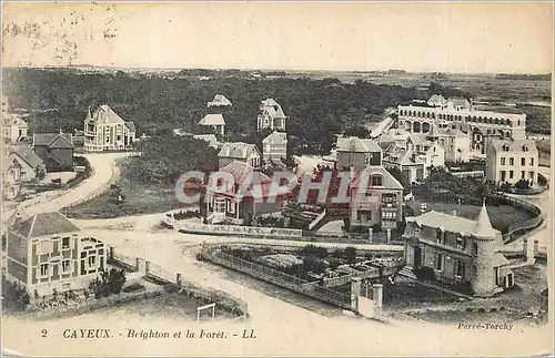 Ansichtskarte AK Cayeux Brighton et la Foret