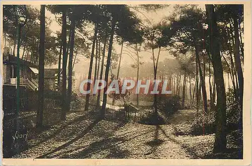 Ansichtskarte AK Arcachon (Gironde) Cote d'Argent La Douce Fance Un Joli Coin de la Ville d'Hiver