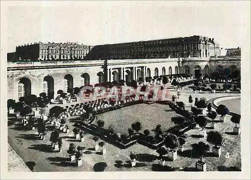 Cartes postales moderne Le Parc l'Orangerie Versailles