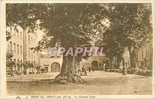 Cartes postales Mont Ste Odile (alt 763 m) La Grande Cour