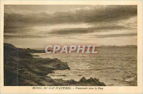 Cartes postales Hotel du Cap d'Antibes Promenade dans le Parc