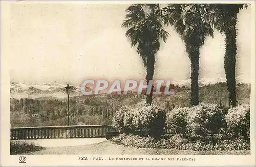 Ansichtskarte AK Pau Le Boulevard et la Chaine des Pyrenees