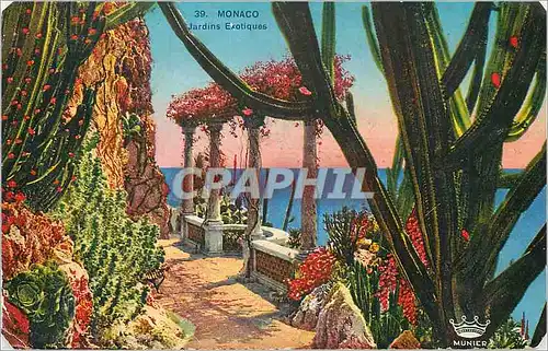 Cartes postales Monaco Jardins Exotiques