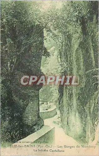 Cartes postales Amelie les Bains (Pyr Or) Les Gorges du Mondony La Breche Castellane