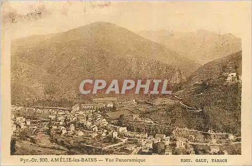 Cartes postales Amelie les Bains Vue Panoramique