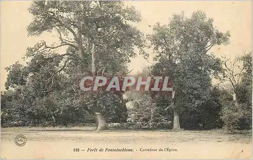 Ansichtskarte AK Foret de Fontainebleau Carrefour de l'Epine