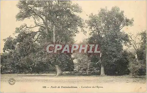 Cartes postales Foret de Fontainebleau Carrefour de l'Epine