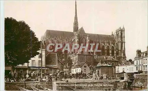 Cartes postales Amiens La Cathedrale et la Marche sur l'Eau