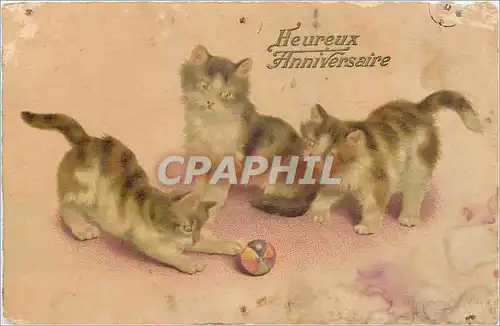Cartes postales Heureux Anniversaire Chats