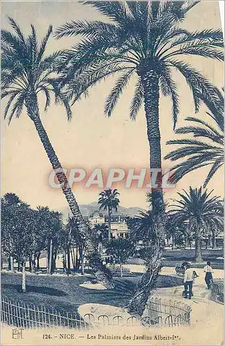 Cartes postales Nice Les Palmiers des Jardins Albert Ier