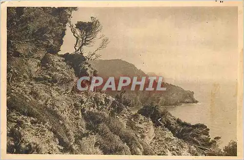 Cartes postales Les Iles d'Hyeres (Var) Cote d'Azur La Douce France Porquerolles