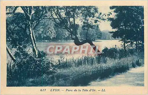 Cartes postales Lyon Parc de la Tete d'Or