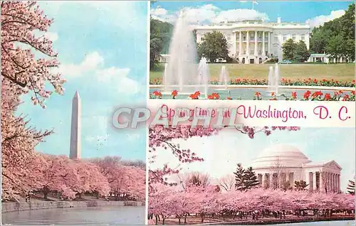 Moderne Karte Springtime in Washington DC