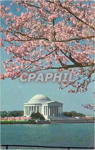 Cartes postales moderne Washington D C Jefferson Memorial
